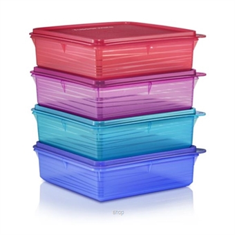 square plastic containers for food Malaysia